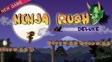 download Ninja Rush Deluxe apk